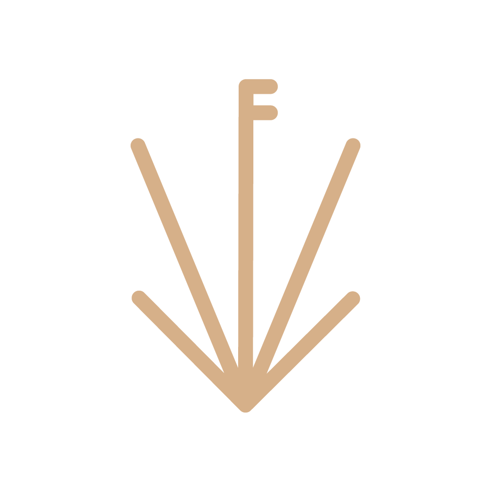 Future Horizon COP27